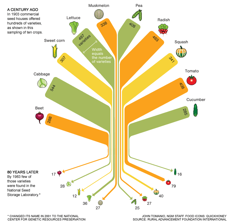 Food Variety Tree