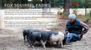 Fox-Squirrel-Farm