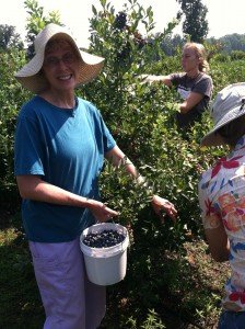 Farmer Celine Koropchak of Phantom Phoenix Farm has been donating surplus berries for the past three years