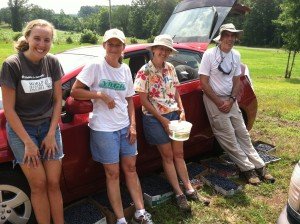 Society of Saint Andrew volunteers with blueberry harvest at Phantom Phoenix Farm