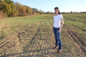 RAFI-USA BOPS Coordinator Kelli Dale (now Just Foods Program Director) at an organic wheat testing plot on Lindale Farms in Chatham County, NC.
