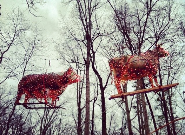 At Candy Conino and Shawn Slome's annual holiday party. Raising funds (and cows) for a better world.