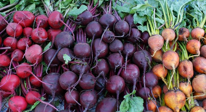 radishes