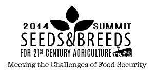 Summit-Logo