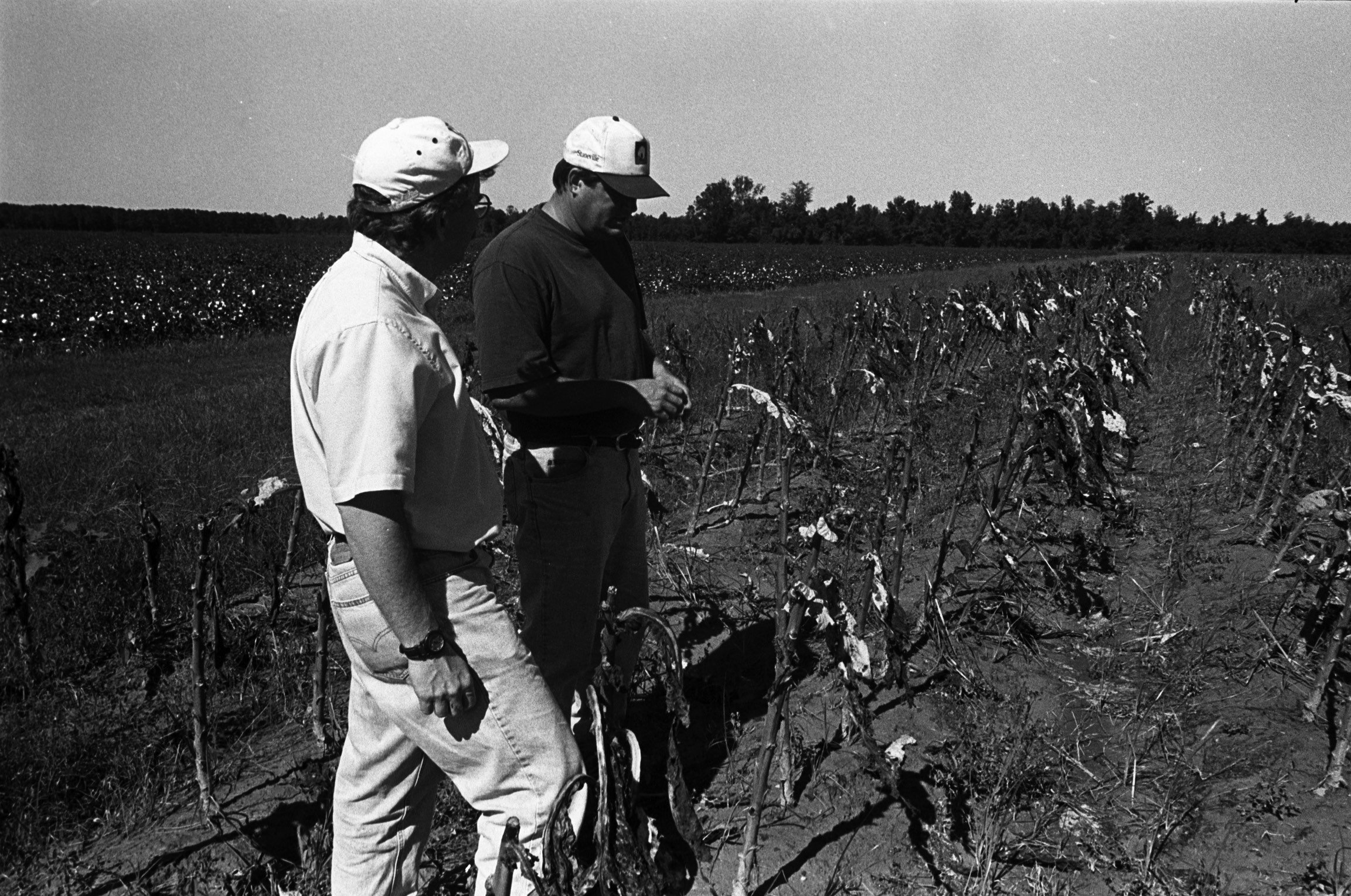 RAFI staff assisted farmers with surveying damage and understanding how to properly document losses for filing insurance claims. 