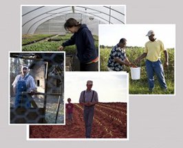 FARMERPICMONTAGE1-300x266