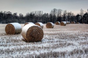 Winter-Bales-4d5f95c15b0a4_hires