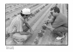 Peanut Project Scott Marlow