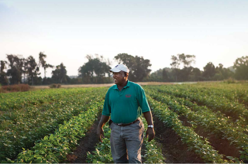 Joseph Fields received a Farmers of Color Infrastructure Fund grant in 2020.