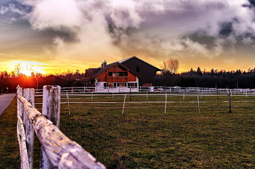 Farm Scene
