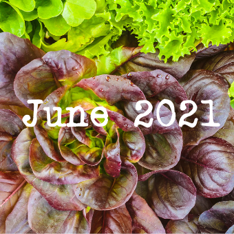 June enewsletter