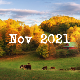 Fall Scene