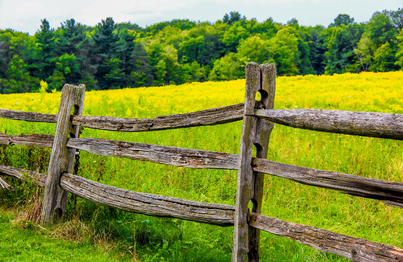 farm fence