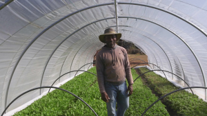Howard Allen from Faithfull Farms