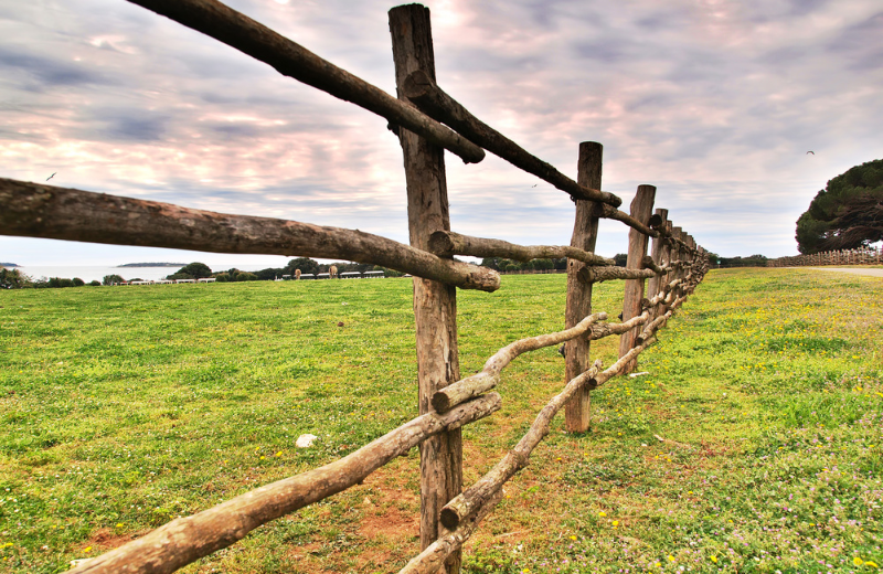 Farm