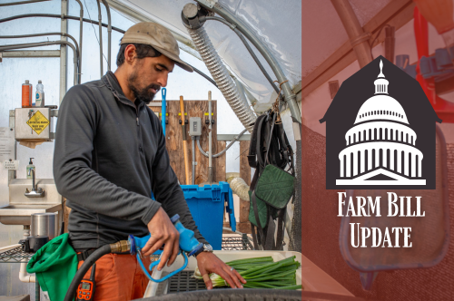 Farm Bill Update May 2024