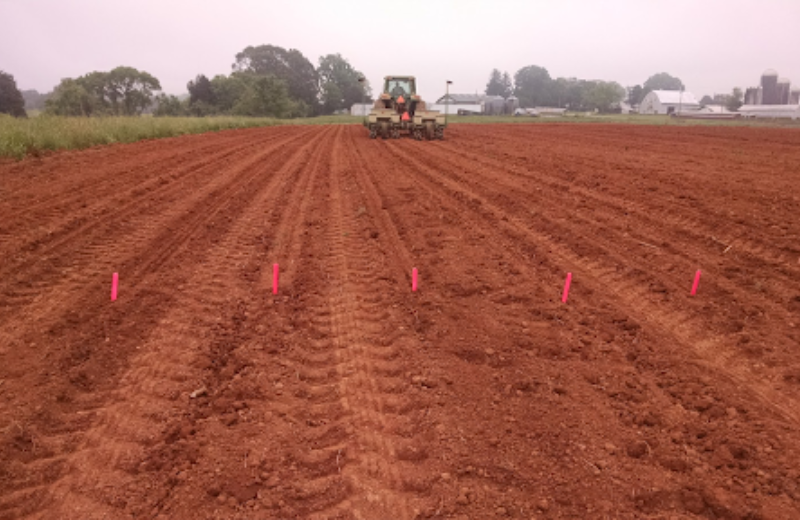 Reedy Fork Corn Seed Trial