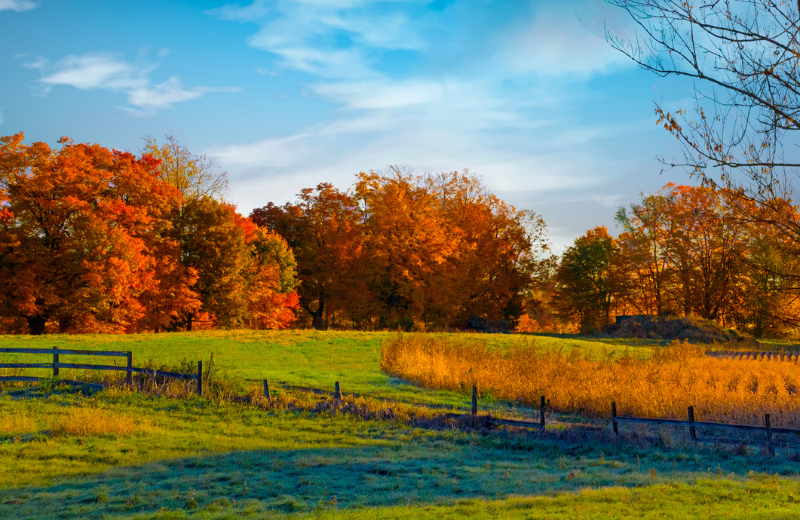 fall field