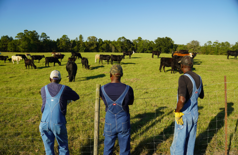 NRCS 2026: Step-by-Step Instructions to Apply