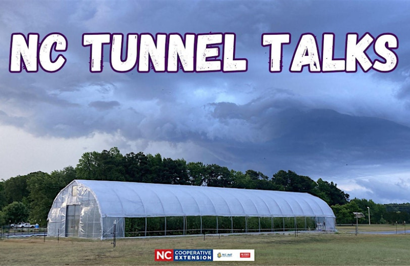 Grow Smart in 2026 with NC Tunnel Talks: A Free High Tunnel Education Series!