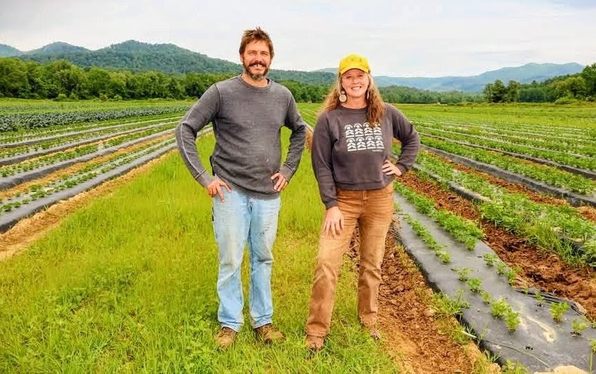 Transitioning to Organic: Lessons from TendWell Farm