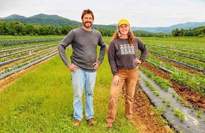 Transitioning to Organic: Lessons from TendWell Farm